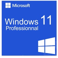 windows_11_professionnal