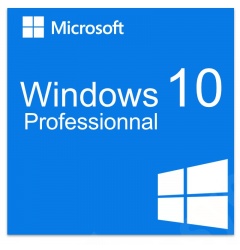 windows_10_professionnal