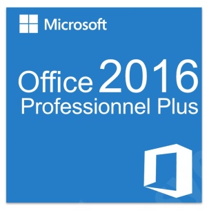 office_professionnel_plus_2016