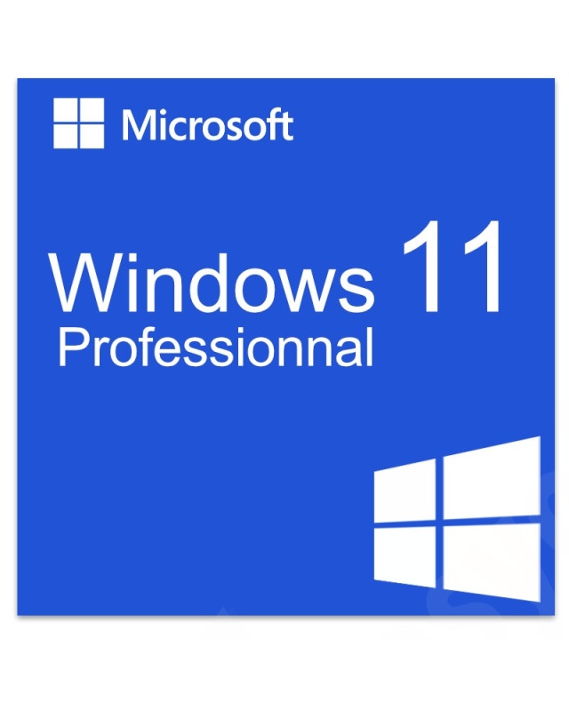 windows_11_professionnal